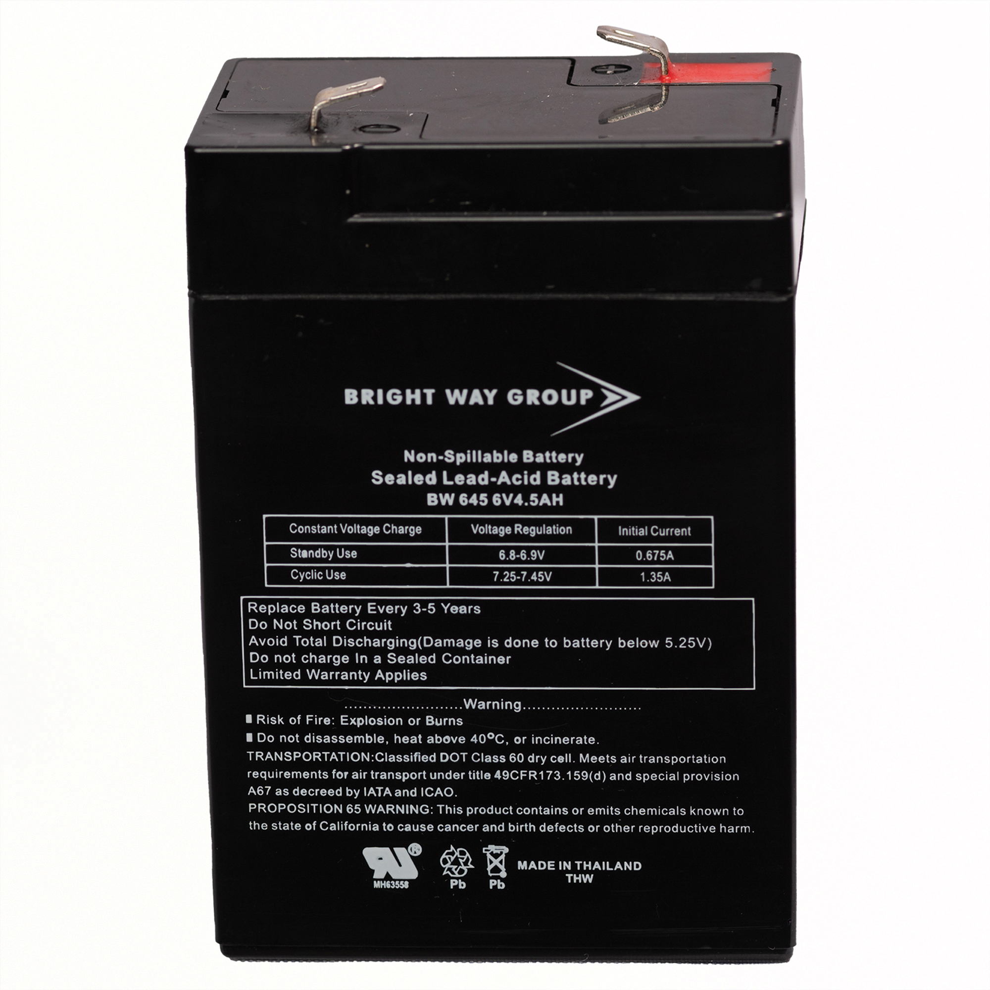 Bright Way Group Sealed Lead Acid Battery — 6V, 4.5Ah, Rechargeable, Model# BW 645 F1